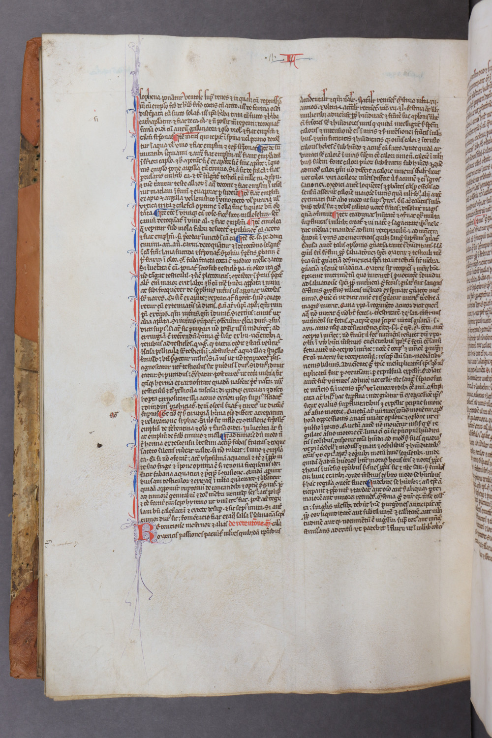 Folio 133 verso